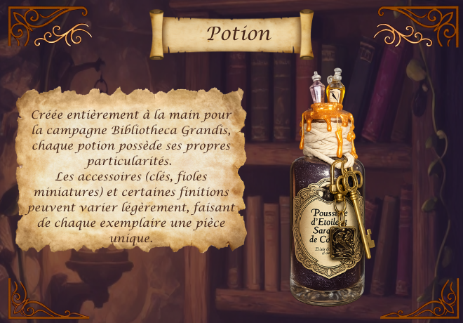 Présentation des Potions de Bibliotheca assemblées à la main, avec accessoires et finitions uniques